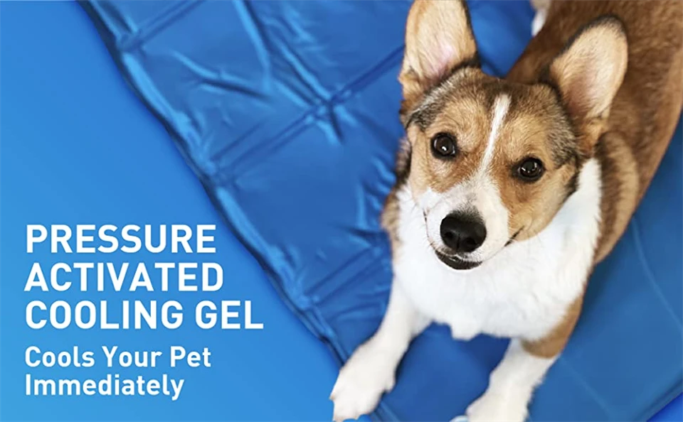 Frozen Cooling Mat For Small Pet Cats And Dogs Frozen Cooling Mat For Small Pet Cats And Dogs